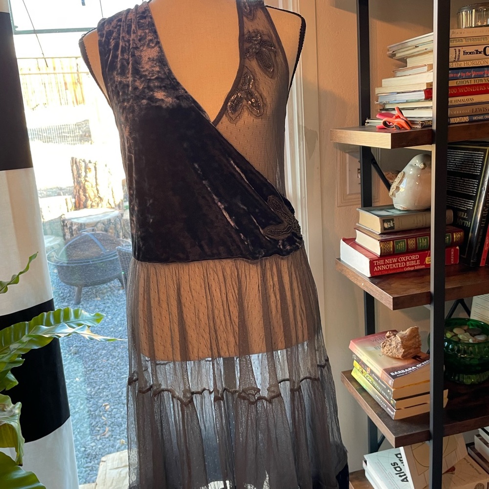 Free People velvet and sheer dress